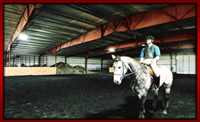 Horse Barns & Arenas